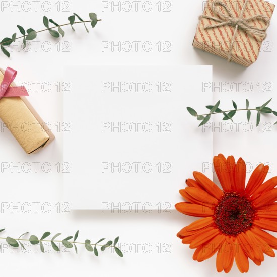 Empty memo paper with flower and gift on white background. flat lay, top view, copy space