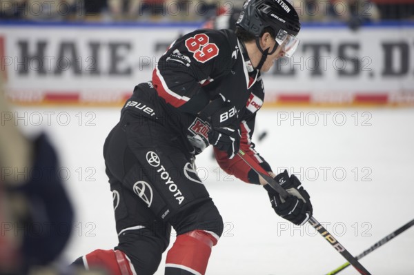 LanxessArena, Cologne, North Rhine-Westphalia, Gregor Macleod (Cologne Sharks, #89), PENNY DEL, Cologne Sharks- Schwenninger Wild Wings on 11/10/2024 at the LanxessArena in Cologne Germany