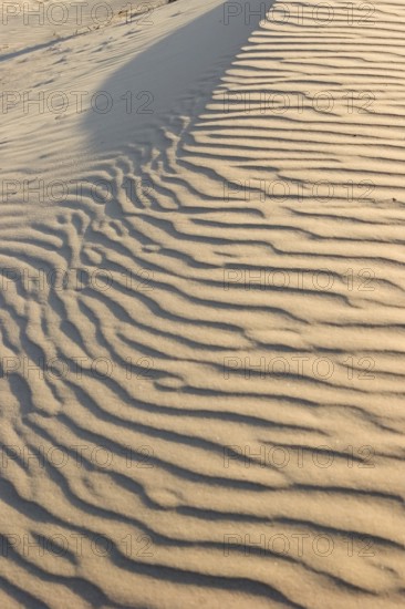A surface of a sandy dune with traces of animals
