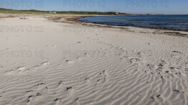 Es Caragol beach, Santanyi municipality, Majorca, Balearic Islands, Spain