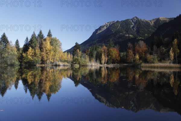 Moor pond near Oberstdorf/ Allgäu with trees with colourful autumn leaves