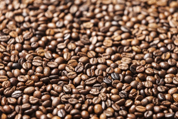 Brown roasted raw coffee bean heap background