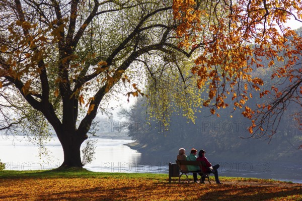 Autumn