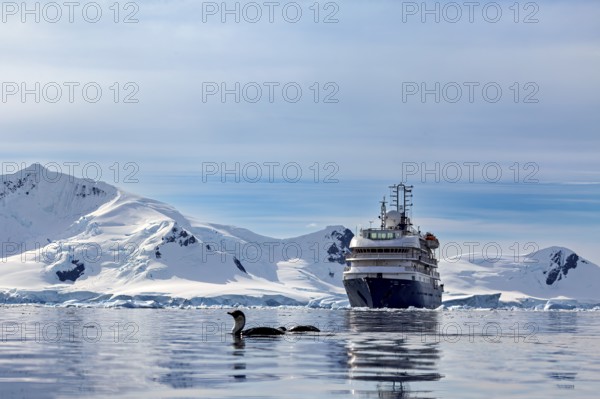 A ship in the calm sea surrounded by icebergs under a blue sky in the polar region, cruise ship in the Southern Ocean in Antarctica