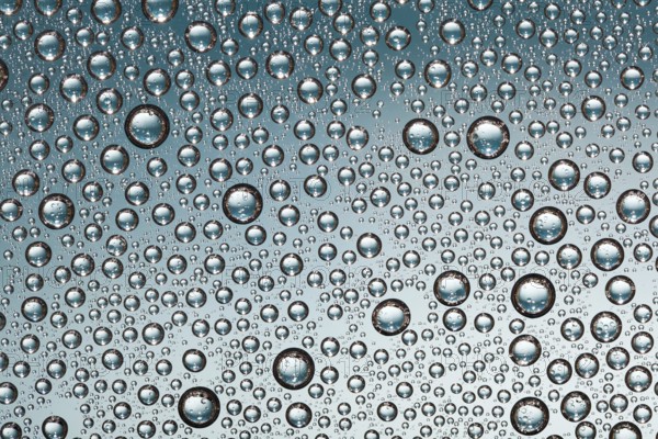 Crystal clear water drops over blue background
