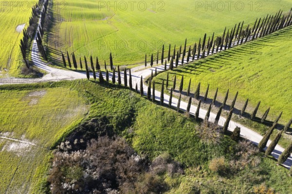 Aerial photographic documentation of a white road in Tuscany Italy