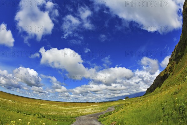 Warm summer days in Iceland. Footpath among the green meadows