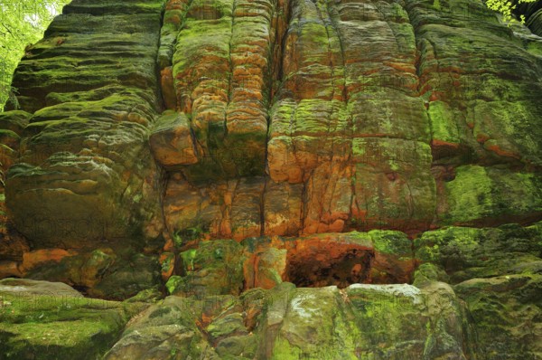 Sandstone on the Malerweg, in Uttewalder Grund, Saxon Switzerland.Saxon switzerland