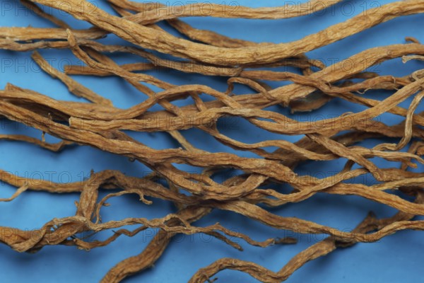 Gentianae radix, gentian root, longdancao