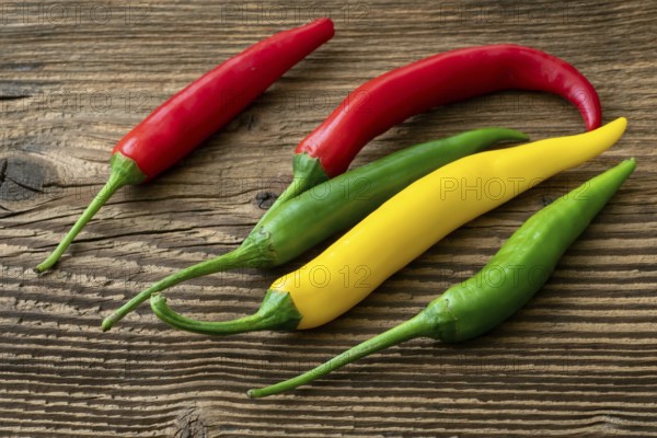 Spicy chilies peppers on wooden background. Colorful peppers on rustic wooden table. Raw healthy food