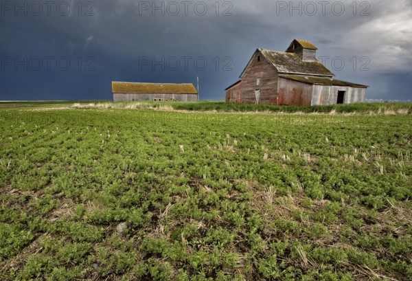 Abandoned Farm with storm clouds in the Canadian Prairie