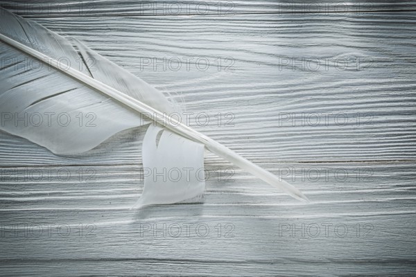Vintage feather on wooden board top view