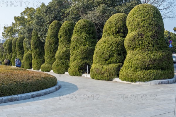Artfully pruned bushes in Hiroshima Peace Park