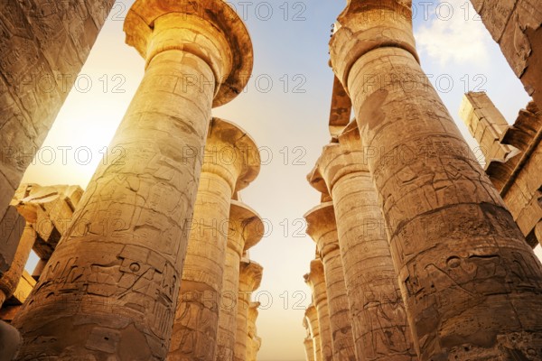 Great columns in Luxor Temple at sunrise