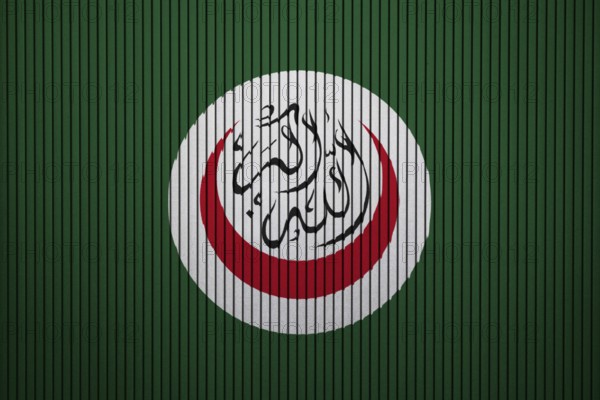 OIC Flag painted on the cracked grunge concrete wall, Organisation of Islamic Cooperation