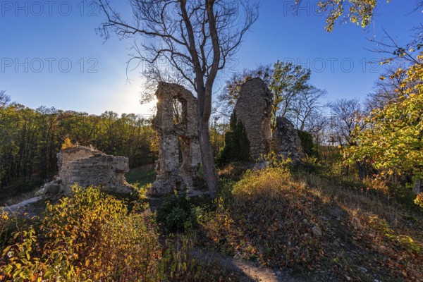 Stecklenburg castle ruins, Harz district