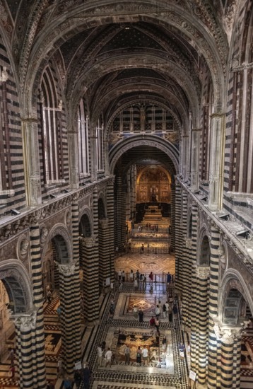 SIENA, ITALY, SEPTEMBER 23, 2023, View to the nave of the Siena cathedral, seen from the upper floor