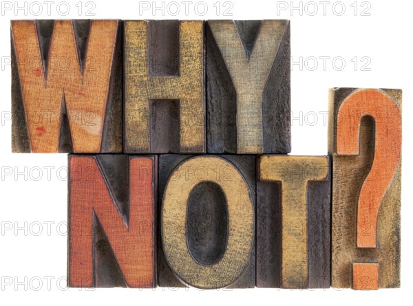 Why not question in vintage letterpress wood type blocks, stained by ink, isolated on white
