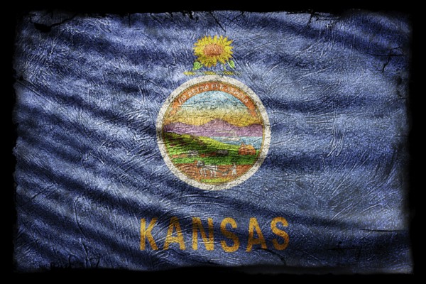 Kansas Flag, Grunge Texture Background