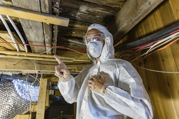 An indoor environmental quality assessor is viewed up-close, working beneath timber floor joists during an inspection of a condemned building, with copy-space