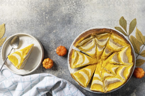 Healthy autumn dessert for breakfast. Pumpkin cottage cheese casserole pie Zebra, striped casserole with cheese, chocolate and pumpkin on stone background. View from above. Copy space