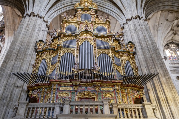 Gospel organ, built by Pedro de Echevarria in 1744, Cathedral of the Assumption of the Virgin, Salamanca, autonomous community of Castilla y León, Spain