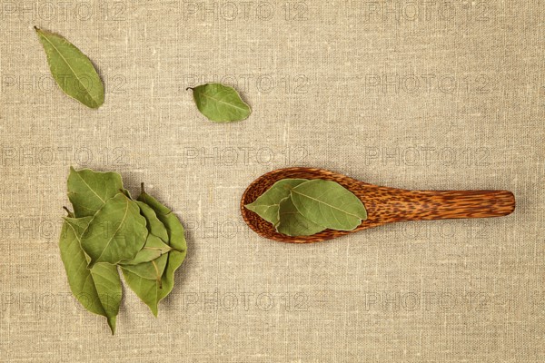 Bay leaves on wooden spoon on natural background - top view
