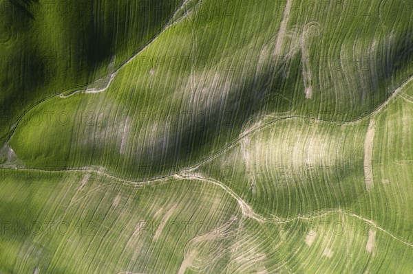 Aerial photographic documentation of the shapes of cultivated fields in Tuscany Italy