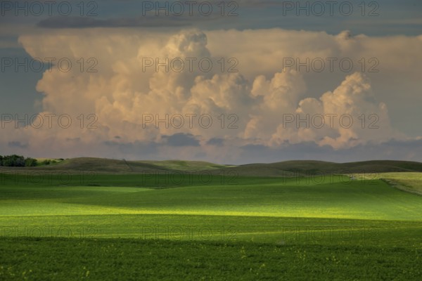 Summer Storms in the Canadian Prairies Dramatic Scenes