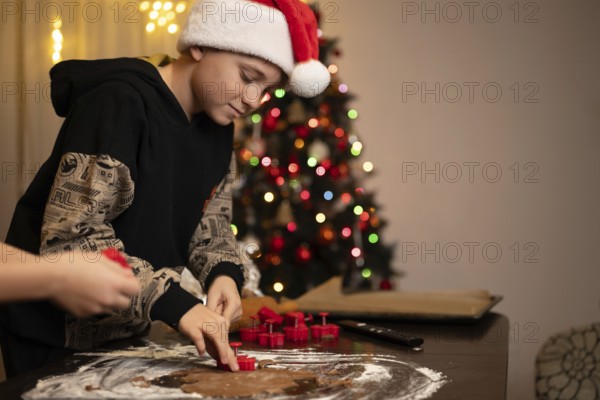 Homemade gingerbread making before Christmas.