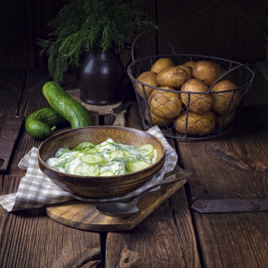 Fresh cucumber salad with yoghurt and young potatoes