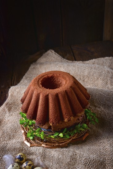 Delicious chocolate babka