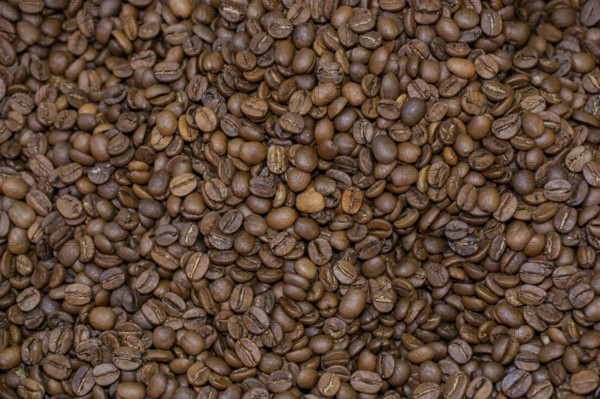 Coffee beans texture or coffee beans background