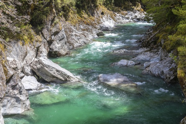 An image of the Haast River Landsborough Valley New Zealand