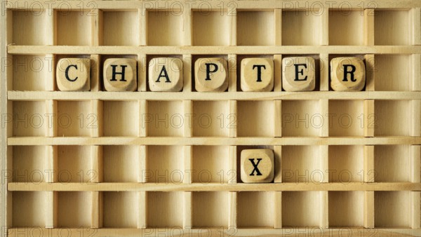 An image of a wooden game with the word chapter ten