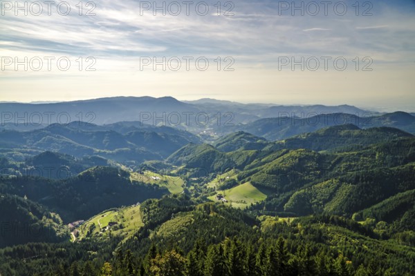 Wunderschöne Schwarzwaldlandschaft im Hochsommer
