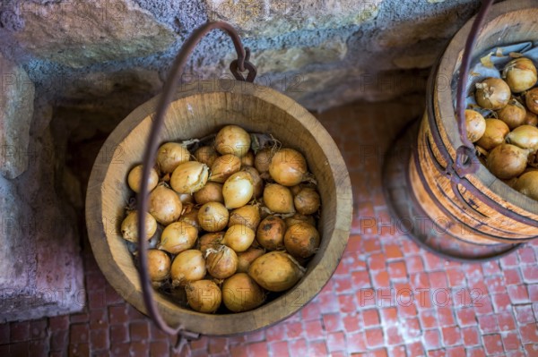 Onions are stored organically in old wooden tubs Austria