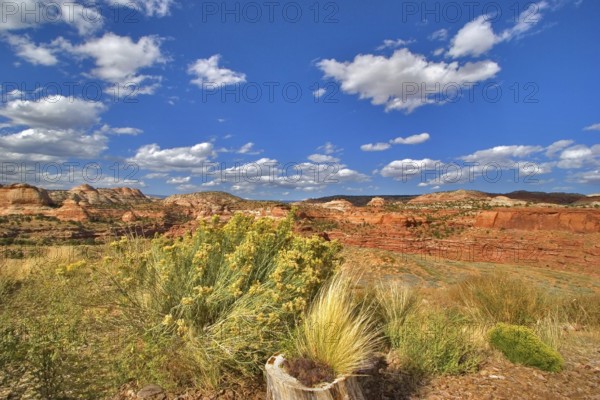 Red desert in state of Utah in the USA