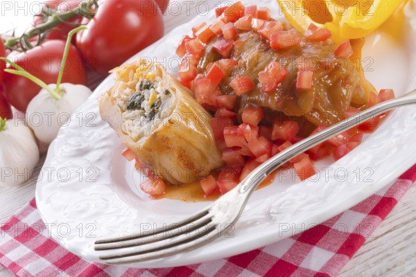 Vegetarian cabbage rolls with spinach and salsa