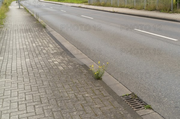 Empty motorway in small german town