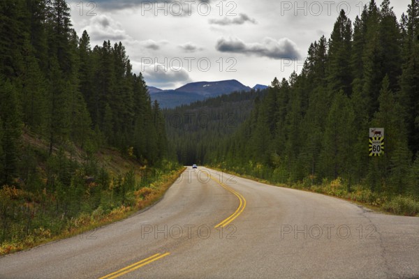 A highway in a wood in twilight