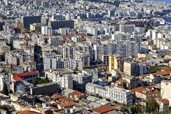 Panoramic view of a dense cluster of white and grey buildings in an urban environment, view of the city of Algiers in Algeria