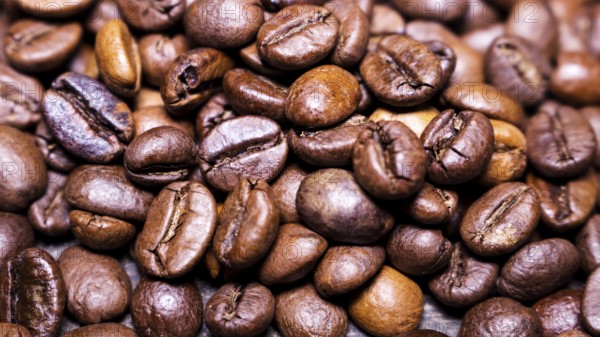 Roasted Brown Coffee Beans Background