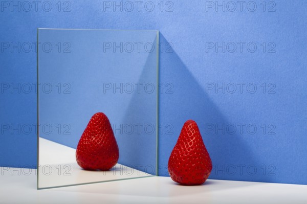 A fresh and tasty strawberry reflected in the mirror on the blue background. Fresh strawberry in the mirror reflection. Juicy strawberry