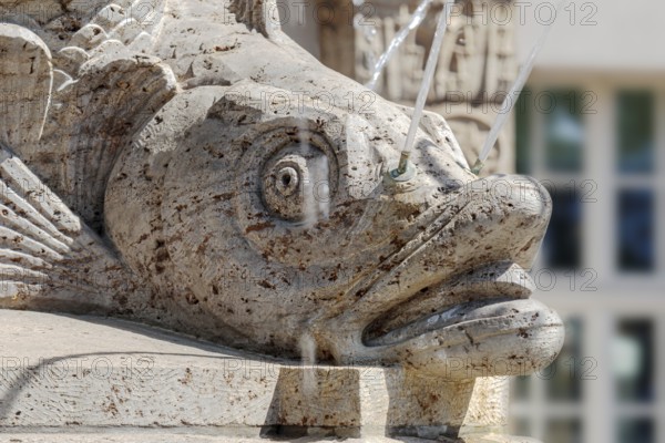 The Villersbrunnen fountain on Tröndlinring in Leipzig, close-up of a fish head in the centre of the fountain