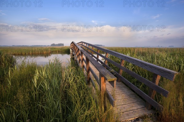 Wooden bridge for bicycles over river in morning sunlight
