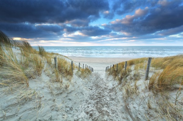 Path on sand to beach at sunset, North Holland, Netherlands