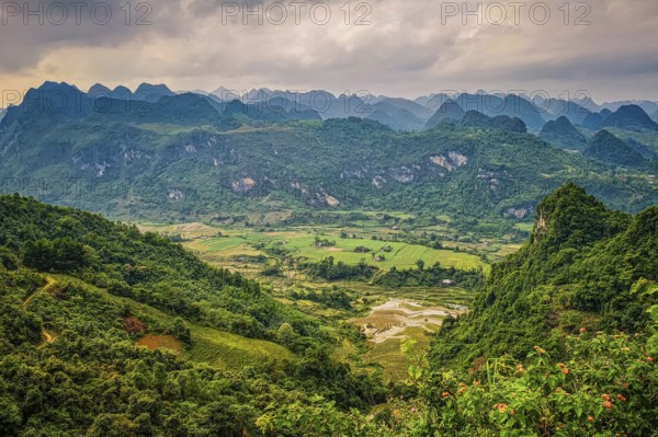 Typical Vietnamese landscape in spring with green vegetation