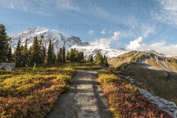 View on the magnificent Mount Rainier from Paradise Vista trail, USA
