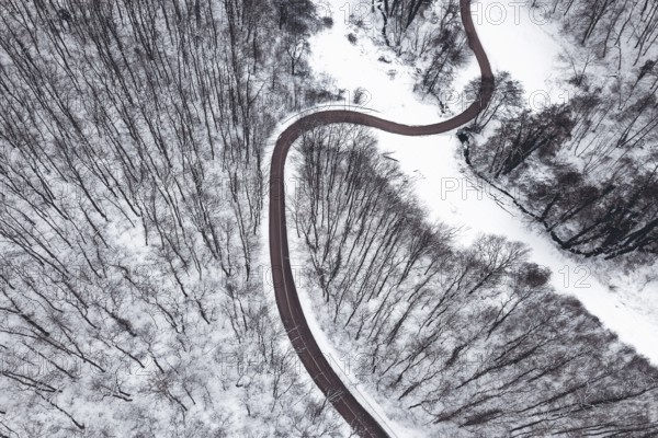 Winter forest and Road. Top view